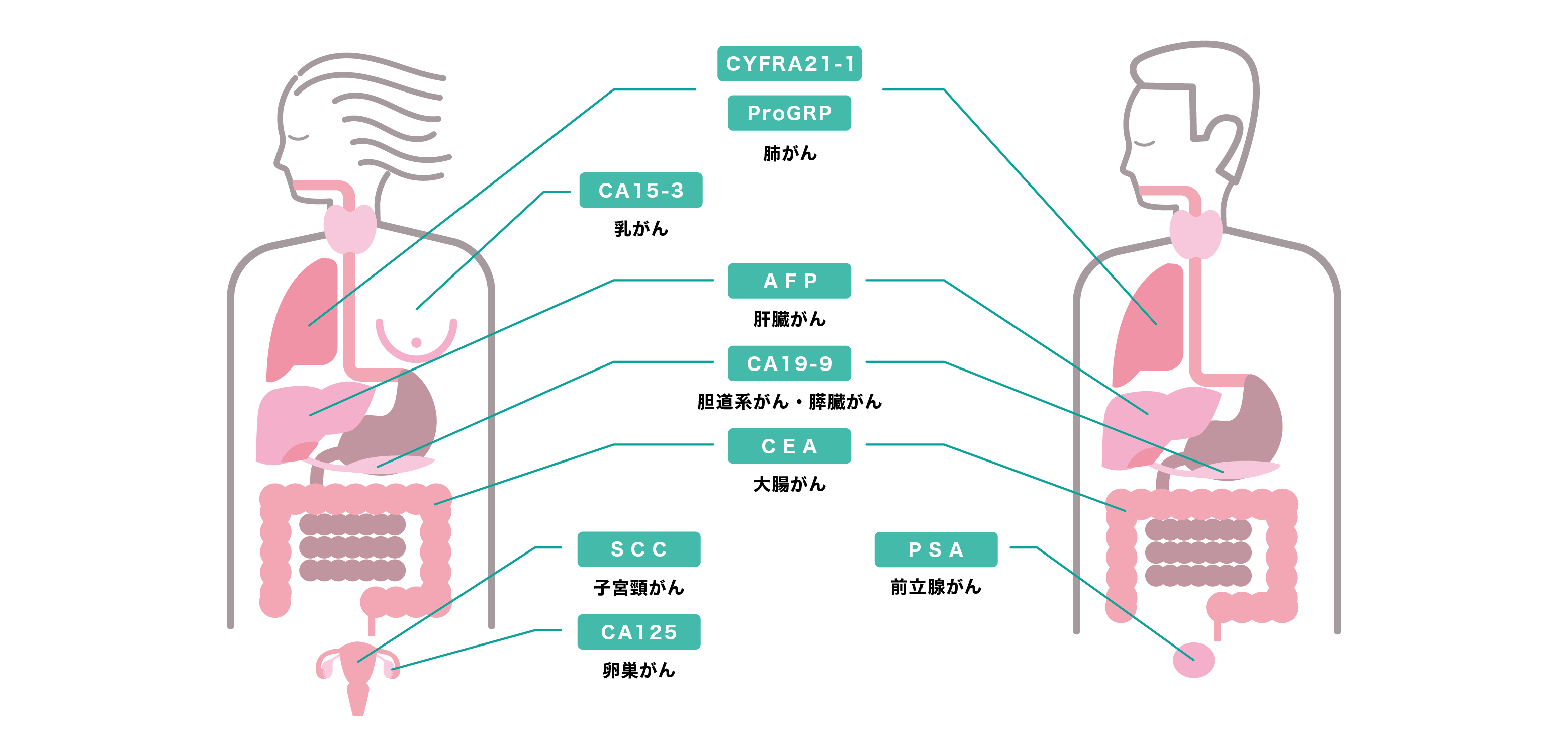 腫瘍マーカー | 東京高輪病院 健康管理センター | 地域医療機能推進機構